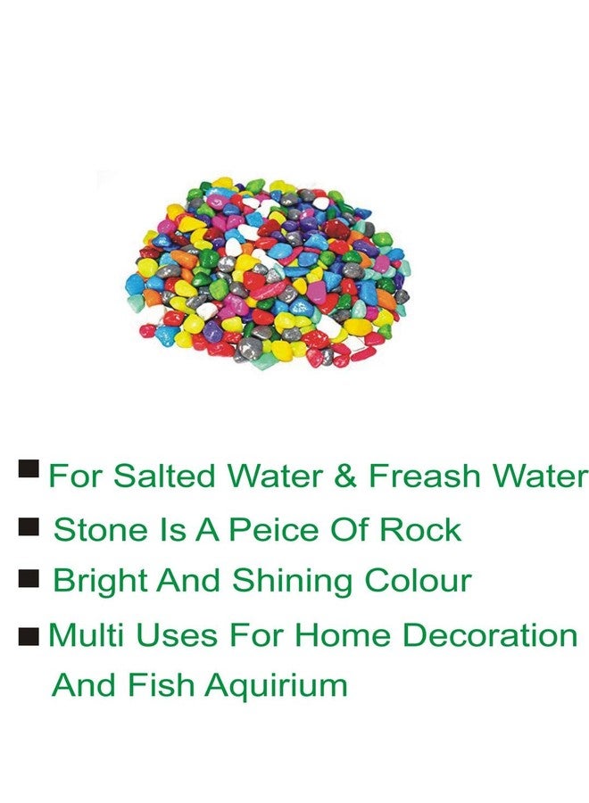 Afast Multicolor Pabbles/Stone for Garden, Plants, Aquarium & Home Decor, Marvels, Decoration, Fish Aquarium, Vase Filler, 0.5 KG -AAAE1 - Image 3